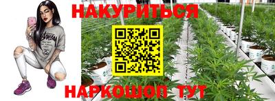 apvp Ачхой-Мартан