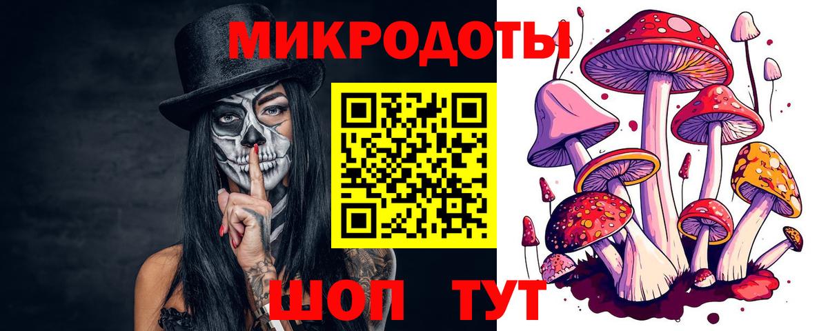 Лесной  Псилоцибиновые грибы прущие грибы  Вход с VPN 