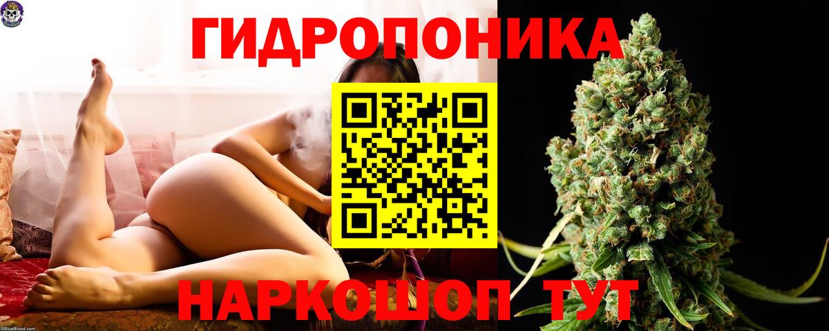 Бошки марихуана сатива Лесной